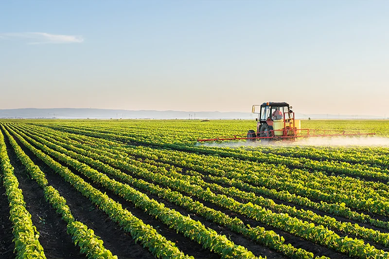 వ్యవసాయం